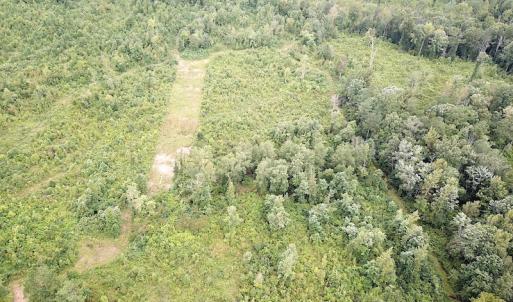 Photo #3 of SOLD property in Off Shippings Road, McKenney, VA 47.5 acres