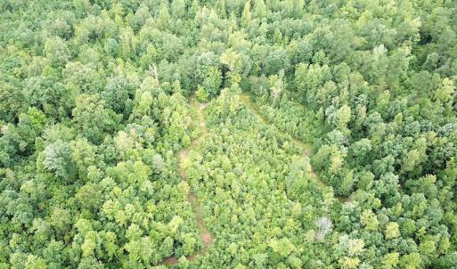 Photo #6 of SOLD property in Off Shippings Road, McKenney, VA 47.5 acres