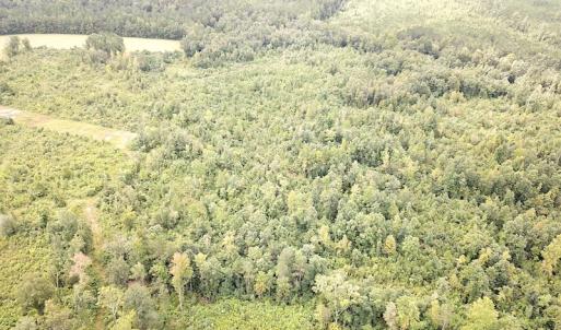 Photo #10 of SOLD property in Off Shippings Road, McKenney, VA 47.5 acres