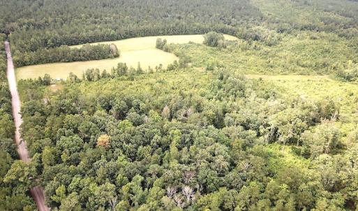 Photo #11 of SOLD property in Off Shippings Road, McKenney, VA 47.5 acres