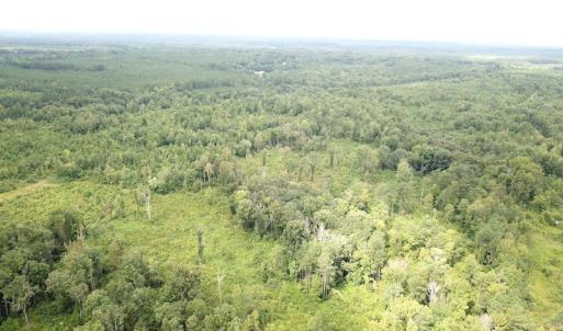 Photo #12 of SOLD property in Off Shippings Road, McKenney, VA 47.5 acres