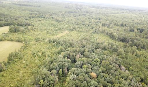 Photo #13 of SOLD property in Off Shippings Road, McKenney, VA 47.5 acres