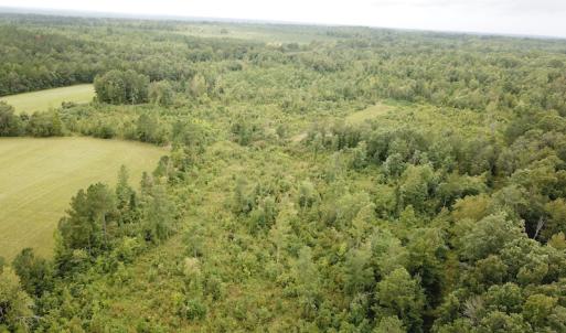 Photo #14 of SOLD property in Off Shippings Road, McKenney, VA 47.5 acres