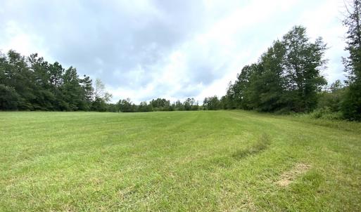 Photo #16 of SOLD property in Off Shippings Road, McKenney, VA 47.5 acres