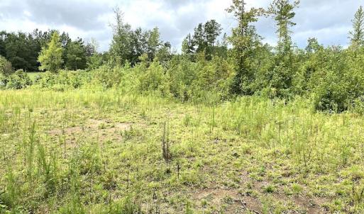 Photo #18 of SOLD property in Off Shippings Road, McKenney, VA 47.5 acres
