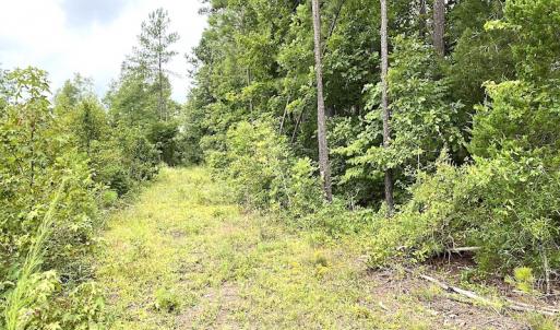 Photo #19 of SOLD property in Off Shippings Road, McKenney, VA 47.5 acres