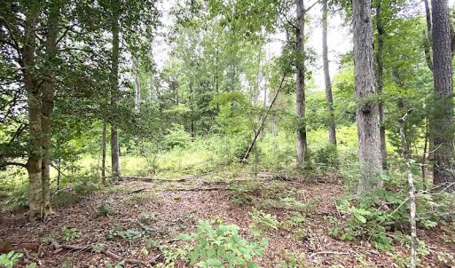 Photo #20 of SOLD property in Off Shippings Road, McKenney, VA 47.5 acres