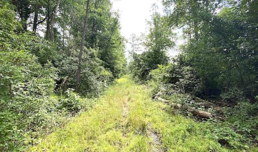 Photo #23 of SOLD property in Off Shippings Road, McKenney, VA 47.5 acres