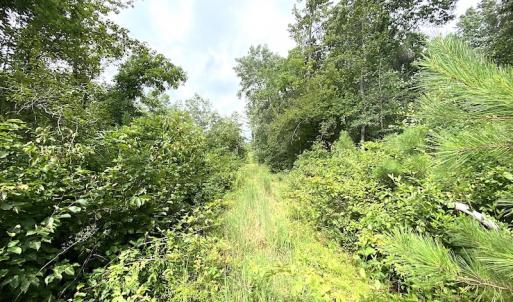 Photo #25 of SOLD property in Off Shippings Road, McKenney, VA 47.5 acres