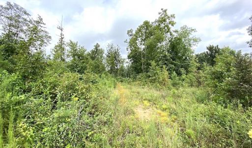 Photo #27 of SOLD property in Off Shippings Road, McKenney, VA 47.5 acres