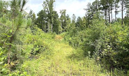 Photo #29 of SOLD property in Off Shippings Road, McKenney, VA 47.5 acres