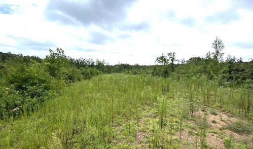 Photo #31 of SOLD property in Off Shippings Road, McKenney, VA 47.5 acres