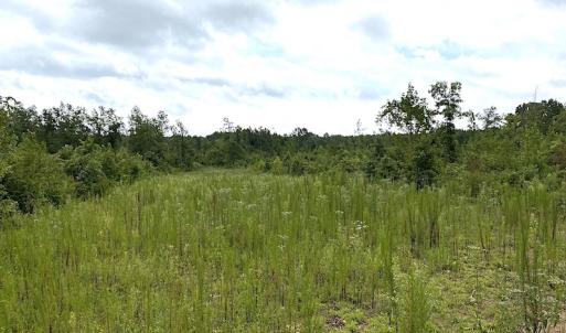 Photo #32 of SOLD property in Off Shippings Road, McKenney, VA 47.5 acres
