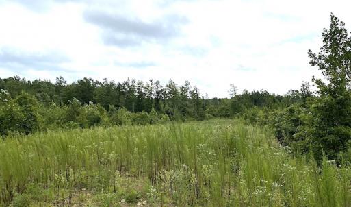 Photo #33 of SOLD property in Off Shippings Road, McKenney, VA 47.5 acres