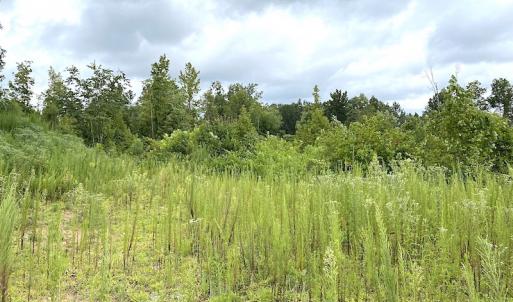 Photo #34 of SOLD property in Off Shippings Road, McKenney, VA 47.5 acres