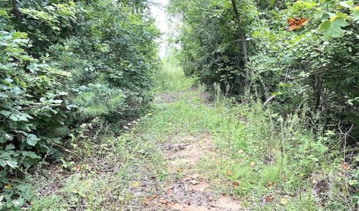 Photo #35 of SOLD property in Off Shippings Road, McKenney, VA 47.5 acres