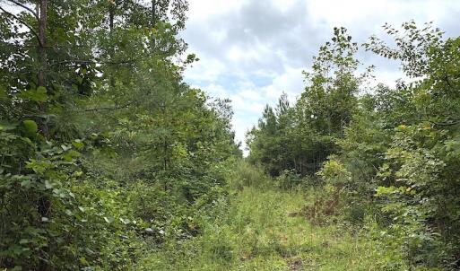 Photo #36 of SOLD property in Off Shippings Road, McKenney, VA 47.5 acres
