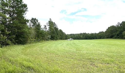 Photo #37 of SOLD property in Off Shippings Road, McKenney, VA 47.5 acres