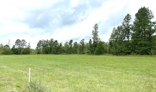 Photo #38 of SOLD property in Off Shippings Road, McKenney, VA 47.5 acres