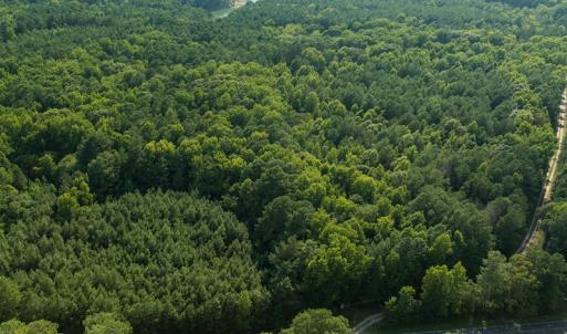 Photo #25 of SOLD property in 00 County Line Road, Manson, NC 6.6 acres