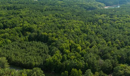 Photo #27 of SOLD property in County Line Road, Manson, NC 6.6 acres