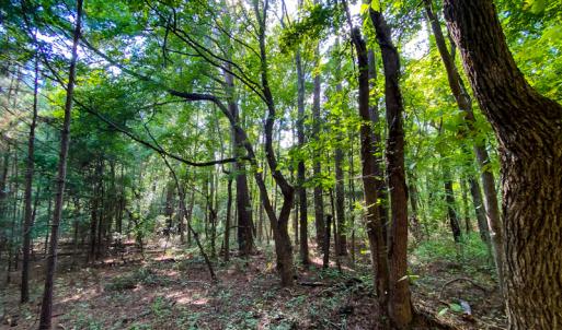 Photo #2 of SOLD property in 00 County Line Road, Manson, NC 6.6 acres