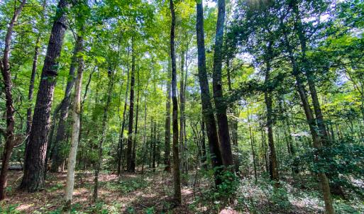 Photo #4 of SOLD property in County Line Road, Manson, NC 6.6 acres