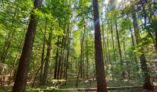 Photo #8 of SOLD property in County Line Road, Manson, NC 6.6 acres
