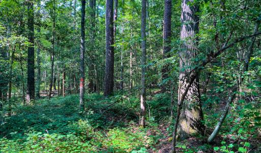 Photo #12 of SOLD property in County Line Road, Manson, NC 6.6 acres