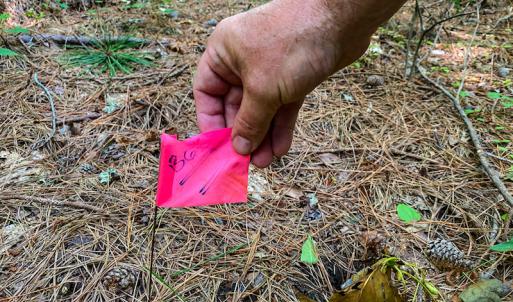 Photo #16 of SOLD property in County Line Road, Manson, NC 6.6 acres