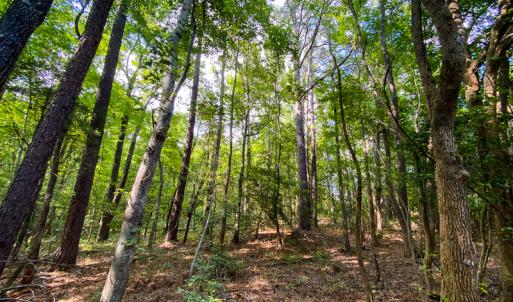 Photo #18 of SOLD property in County Line Road, Manson, NC 6.6 acres