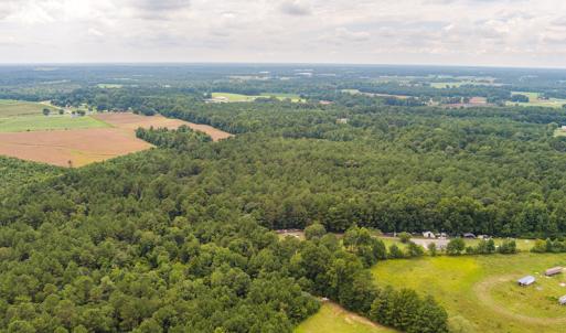 Photo #9 of SOLD property in Off Cecil-Odie Road, Clinton, NC 11.0 acres