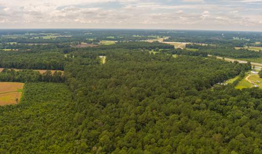 Photo #10 of SOLD property in Off Cecil-Odie Road, Clinton, NC 11.0 acres