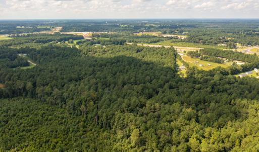 Photo #11 of SOLD property in Off Cecil-Odie Road, Clinton, NC 11.0 acres