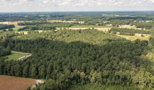 Photo #12 of SOLD property in Off Cecil-Odie Road, Clinton, NC 11.0 acres