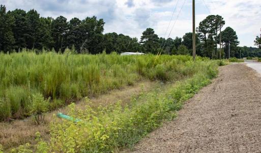 Photo #22 of SOLD property in Off Cecil-Odie Road, Clinton, NC 11.0 acres