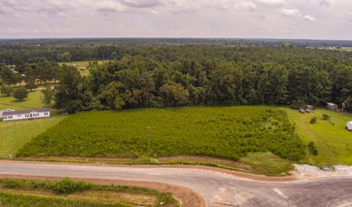 Photo #5 of SOLD property in Off Cecil-Odie Road, Clinton, NC 11.0 acres