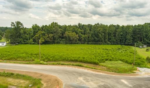 Photo #6 of SOLD property in Off Cecil-Odie Road, Clinton, NC 11.0 acres