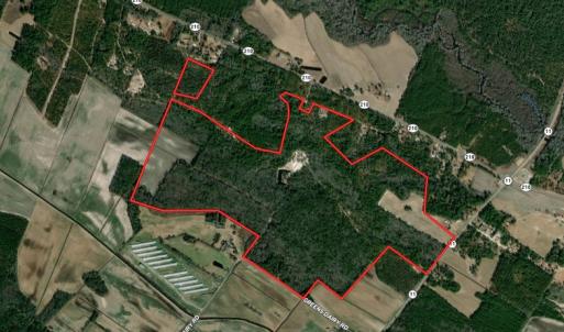 Photo #1 of SOLD property in 27500 NC 210 Hwy E, Currie, NC 330.0 acres