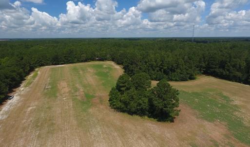 Photo #11 of SOLD property in 27500 NC 210 Hwy E, Currie, NC 330.0 acres