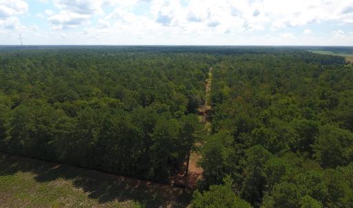 Photo #12 of SOLD property in 27500 NC 210 Hwy E, Currie, NC 330.0 acres