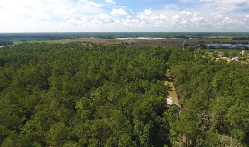 Photo #13 of SOLD property in 27500 NC 210 Hwy E, Currie, NC 330.0 acres