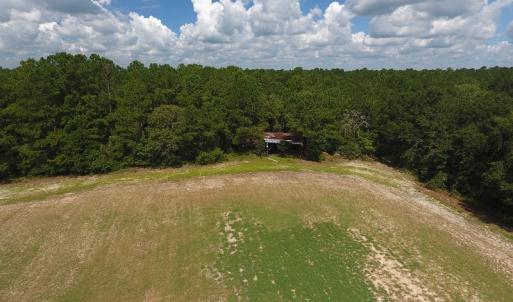 Photo #15 of SOLD property in 27500 NC 210 Hwy E, Currie, NC 330.0 acres