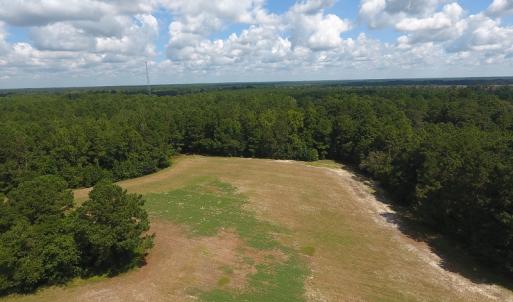 Photo #16 of SOLD property in 27500 NC 210 Hwy E, Currie, NC 330.0 acres