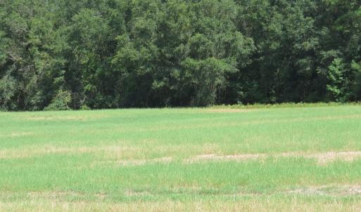 Photo #17 of SOLD property in 27500 NC 210 Hwy E, Currie, NC 330.0 acres