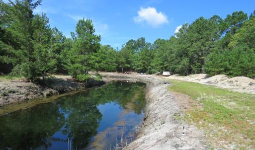 Photo #18 of SOLD property in 27500 NC 210 Hwy E, Currie, NC 330.0 acres