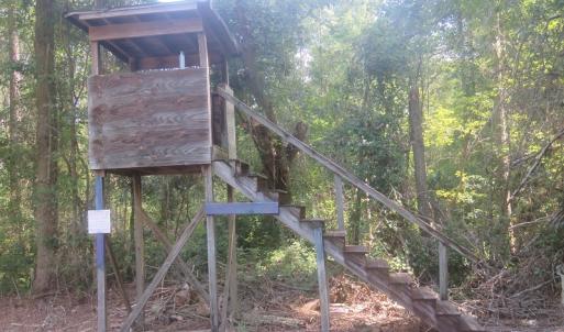 Photo #20 of SOLD property in 27500 NC 210 Hwy E, Currie, NC 330.0 acres