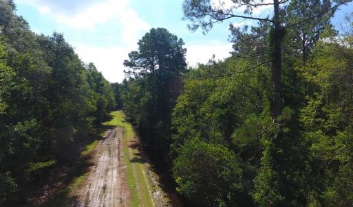 Photo #3 of SOLD property in 27500 NC 210 Hwy E, Currie, NC 330.0 acres