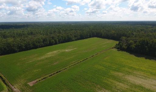 Photo #4 of SOLD property in 27500 NC 210 Hwy E, Currie, NC 330.0 acres