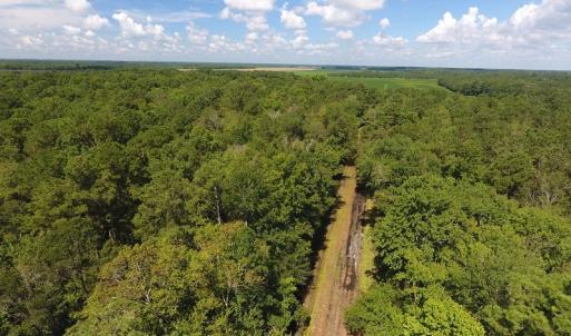Photo #5 of SOLD property in 27500 NC 210 Hwy E, Currie, NC 330.0 acres